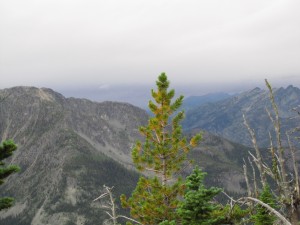 Larch & view